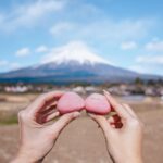 Stella Lee Instagram - Fujinomiya Photo Dump 🗻🇯🇵🌸 Which pic you like most? How to visit Fujinomiya area = ✅ Take shinkansen from Tokyo to Shin Fuji station. Only 1 hour and costs around 5000 yen one way ✅ Rent a car or take local bus or take taxi to explore ✅ Stay at @ogawaso_official Ryokan for authentic local experience and onsen with Mount Fuji view ✅ Visit local areas such as @makainofarm_official , Fujisan Hongu Sengen Taisha, and @mt.fuji_ecotour ✅ Check weather constantly. If it is cloudy, mount fuji might be covered by cloud. Higher chance to see it when it’s winter and sunny day! If you’re tired with the crowded Kawaguchiko, head to this city instead 👀 Thank you @yurisu13 for showing me your city ☺️💖 SAVE and SHARE this tips for future travel ✈️