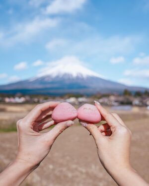 Stella Lee Instagram - Fujinomiya Photo Dump 🗻🇯🇵🌸 Which pic you like most?

How to visit Fujinomiya area =
✅ Take shinkansen from Tokyo to Shin Fuji station. Only 1 hour and costs around 5000 yen one way
✅ Rent a car or take local bus or take taxi to explore
✅ Stay at @ogawaso_official Ryokan for authentic local experience and onsen with Mount Fuji view
✅ Visit local areas such as @makainofarm_official , Fujisan Hongu Sengen Taisha, and @mt.fuji_ecotour 
✅ Check weather constantly. If it is cloudy, mount fuji might be covered by cloud. Higher chance to see it when it’s winter and sunny day! 

If you’re tired with the crowded Kawaguchiko, head to this city instead 👀 Thank you @yurisu13 for showing me your city ☺️💖 SAVE and SHARE this tips for future travel ✈️