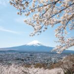 Stella Lee Instagram - UPDATE FOR JAPAN TRAVEL GUIDE!!! 🎉🎉🎉 Sekarang ada 2 bahasa khusus untuk Japan Travel Guide loh. Ratusan page mengenai jepang, dari segala budget, segala season, sampai setiap bulan harus ngapain aja sekarang ada dalam Bahasa Indonesia maupun Bahasa Inggris di www.stellartravelguide.com 🇯🇵🇯🇵🇯🇵