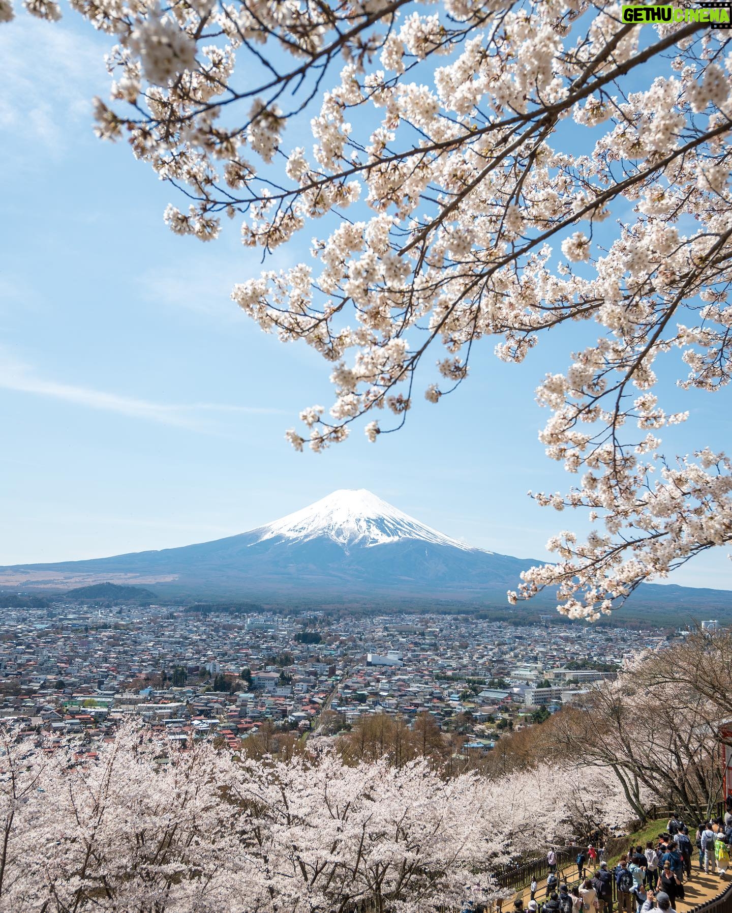 Stella Lee Instagram - UPDATE FOR JAPAN TRAVEL GUIDE!!! 🎉🎉🎉 Sekarang ada 2 bahasa khusus untuk Japan Travel Guide loh. Ratusan page mengenai jepang, dari segala budget, segala season, sampai setiap bulan harus ngapain aja sekarang ada dalam Bahasa Indonesia maupun Bahasa Inggris di www.stellartravelguide.com 🇯🇵🇯🇵🇯🇵