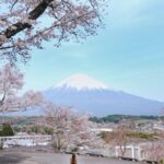 Stella Lee Instagram - Did you know that you dont have to visit Yamanashi or Kawaguchiko to see Mount Fuji? Shizuoka is another prefecture in Japan where you can see the magnificent mountain, BUT with less tourists for sure 😉👌🏻 You can take shinkansen from Tokyo, reaching Shin Fuji station within 1 hour! For me Shin Fuji is the BEST station to explore mount fuji area, and Fujinomiya city is the town that you should be based on. This lesser known prefecture offers so much more than your typical tourist spots 🗻