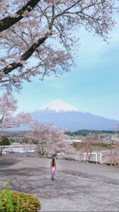 Stella Lee Instagram - Did you know that you dont have to visit Yamanashi or Kawaguchiko to see Mount Fuji? Shizuoka is another prefecture in Japan where you can see the magnificent mountain, BUT with less tourists for sure 😉👌🏻 You can take shinkansen from Tokyo, reaching Shin Fuji station within 1 hour! For me Shin Fuji is the BEST station to explore mount fuji area, and Fujinomiya city is the town that you should be based on. This lesser known prefecture offers so much more than your typical tourist spots 🗻