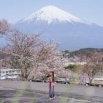 Stella Lee Instagram - Fujinomiya Photo Dump 🗻🇯🇵🌸 Which pic you like most? How to visit Fujinomiya area = ✅ Take shinkansen from Tokyo to Shin Fuji station. Only 1 hour and costs around 5000 yen one way ✅ Rent a car or take local bus or take taxi to explore ✅ Stay at @ogawaso_official Ryokan for authentic local experience and onsen with Mount Fuji view ✅ Visit local areas such as @makainofarm_official , Fujisan Hongu Sengen Taisha, and @mt.fuji_ecotour ✅ Check weather constantly. If it is cloudy, mount fuji might be covered by cloud. Higher chance to see it when it’s winter and sunny day! If you’re tired with the crowded Kawaguchiko, head to this city instead 👀 Thank you @yurisu13 for showing me your city ☺️💖 SAVE and SHARE this tips for future travel ✈️