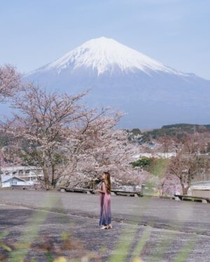 Stella Lee Instagram - Fujinomiya Photo Dump 🗻🇯🇵🌸 Which pic you like most?

How to visit Fujinomiya area =
✅ Take shinkansen from Tokyo to Shin Fuji station. Only 1 hour and costs around 5000 yen one way
✅ Rent a car or take local bus or take taxi to explore
✅ Stay at @ogawaso_official Ryokan for authentic local experience and onsen with Mount Fuji view
✅ Visit local areas such as @makainofarm_official , Fujisan Hongu Sengen Taisha, and @mt.fuji_ecotour 
✅ Check weather constantly. If it is cloudy, mount fuji might be covered by cloud. Higher chance to see it when it’s winter and sunny day! 

If you’re tired with the crowded Kawaguchiko, head to this city instead 👀 Thank you @yurisu13 for showing me your city ☺️💖 SAVE and SHARE this tips for future travel ✈️