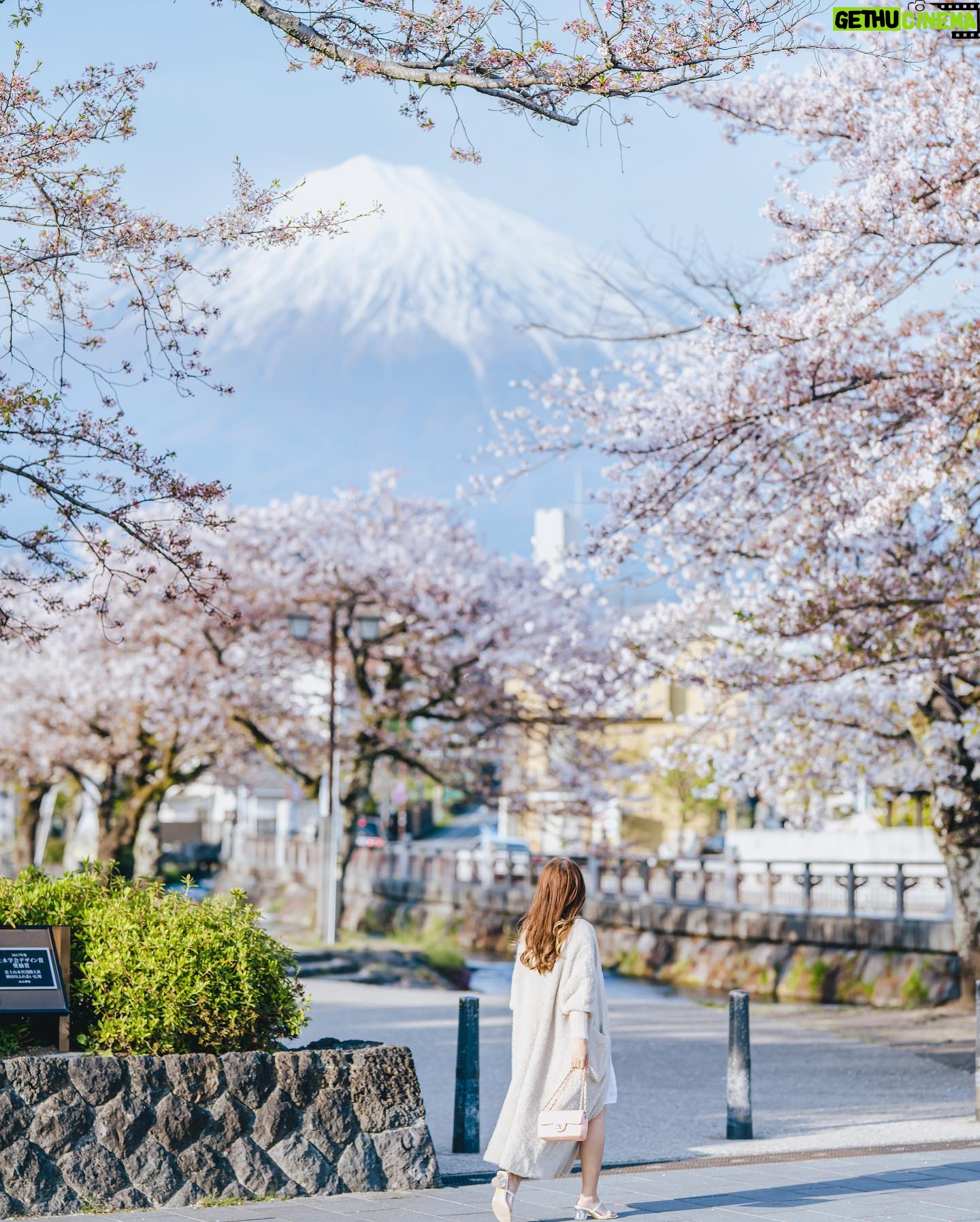 Stella Lee Instagram - UPDATE FOR JAPAN TRAVEL GUIDE!!! 🎉🎉🎉 Sekarang ada 2 bahasa khusus untuk Japan Travel Guide loh. Ratusan page mengenai jepang, dari segala budget, segala season, sampai setiap bulan harus ngapain aja sekarang ada dalam Bahasa Indonesia maupun Bahasa Inggris di www.stellartravelguide.com 🇯🇵🇯🇵🇯🇵