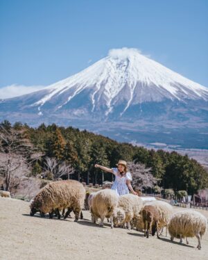 Stella Lee Instagram - Fujinomiya Photo Dump 🗻🇯🇵🌸 Which pic you like most?

How to visit Fujinomiya area =
✅ Take shinkansen from Tokyo to Shin Fuji station. Only 1 hour and costs around 5000 yen one way
✅ Rent a car or take local bus or take taxi to explore
✅ Stay at @ogawaso_official Ryokan for authentic local experience and onsen with Mount Fuji view
✅ Visit local areas such as @makainofarm_official , Fujisan Hongu Sengen Taisha, and @mt.fuji_ecotour 
✅ Check weather constantly. If it is cloudy, mount fuji might be covered by cloud. Higher chance to see it when it’s winter and sunny day! 

If you’re tired with the crowded Kawaguchiko, head to this city instead 👀 Thank you @yurisu13 for showing me your city ☺️💖 SAVE and SHARE this tips for future travel ✈️