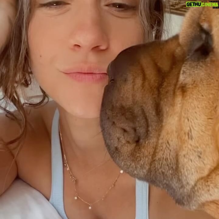 Stella Maeve - 15.4K Likes -