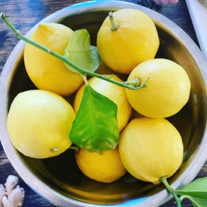 Stella Maeve Instagram - Fresh Lemons from the Lemon Tree 🍋