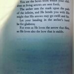 Stella Maeve Instagram -