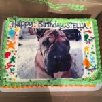 Stella Maeve Instagram –