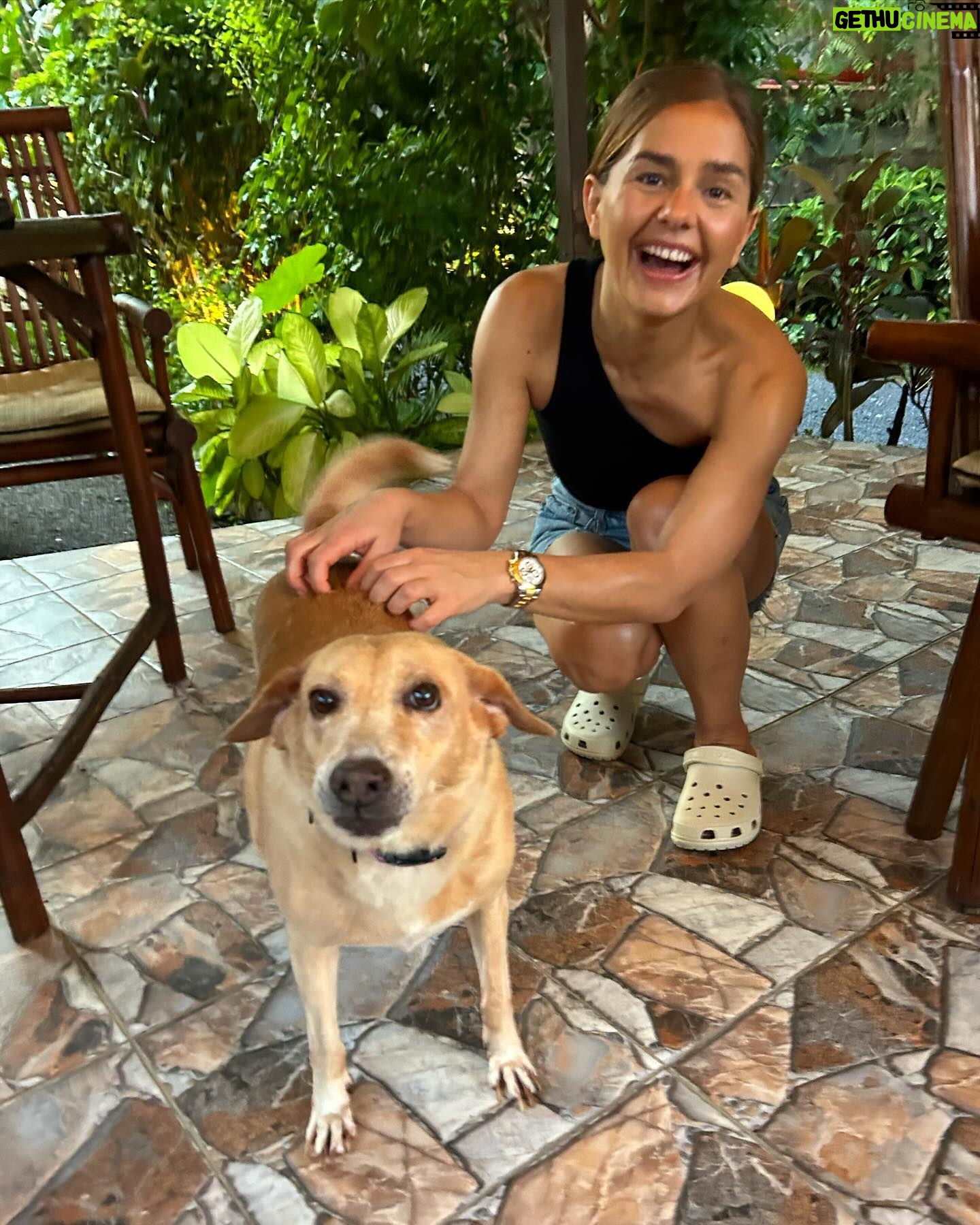Stephania Potalivo Instagram - Postkort fra Thailand 🇹🇭❤️