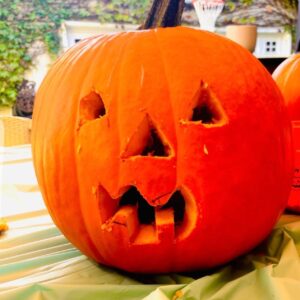 Stephanie Allynne Instagram - team work in 95 degree heat. spoooky climate change. 👻 we got started on all things Halloween at 5:30am 🎃✌️