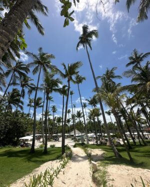 Stephanie De Lander Instagram - ☀️ 💦 🐈 🌴 🦎 🏄‍♀️ 🥰 🦚