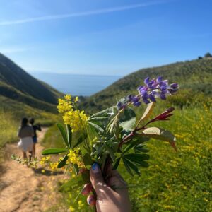 Stephanie Despain Instagram - This time is an opportunity to ask yourself,
"How can I bring more fun and laughter into my life?"……
How does your life feel to you, disregarding how it may look like to others on the outside?