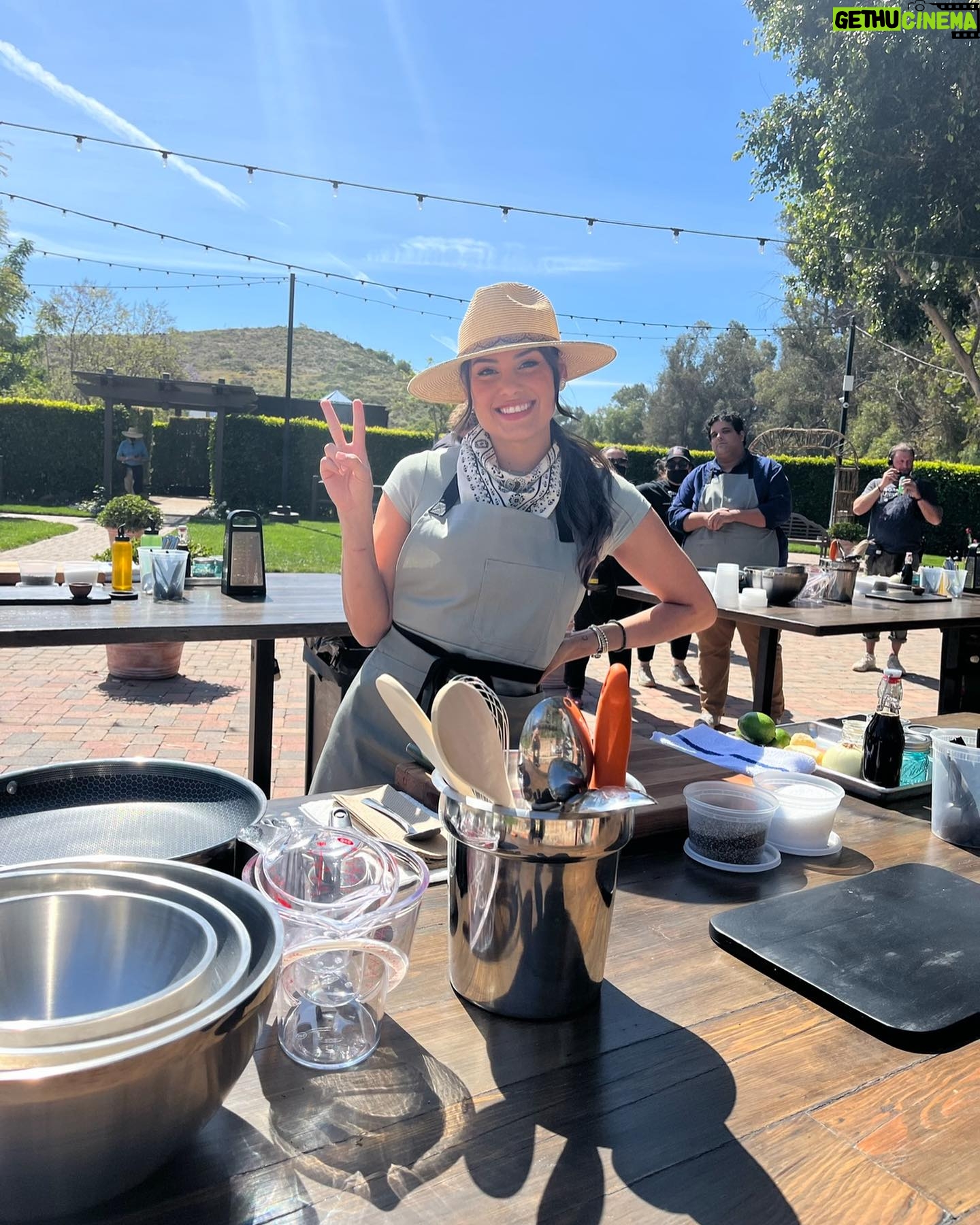 Stephanie Despain - 13.3K Likes - Had a little reunion with uncle @gordongram on his latest TV show Food Stars. Catch me and @owen.han on Wednesday Episode 6 . 🤩 #Hulu #FoodStars @realityclubfox #gordonramsay