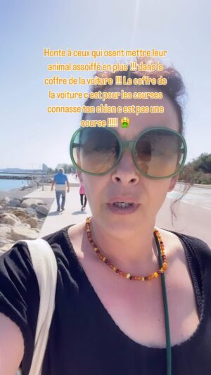 Stéphanie Pareja Instagram - @protegeons_les_animauxx 
🐾🤬🐶🦮🐕‍🦺🦴🐾