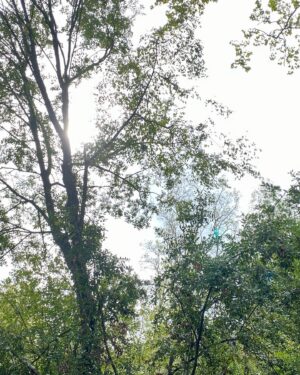 Stéphanie Pareja Instagram - Balade et surprise de la nature. Merci. 🍂🍀☘️🌱