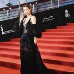 Stephy Tang Lai-Yan Instagram - On the red carpet ❤️ 非常感謝品牌的贊助✨ 還有我整個團隊的幫忙 讓我可以美美走在紅地氈上😊 Thank you😘 Wardrobe : @stellamccartney Heels: @giuseppezanotti Jewellery: @bulgari Make Up : Cyrus Lee @cyruslee_bridal_makeup Hair: @myos_ritzlam Styling: @queenie_yu #hongkongfilmawards