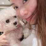 Stephy Tang Lai-Yan Instagram - 今日係年糕仔14歲生日🎂 要繼續身體健康 食得瞓得又屙得啊😘 #福如東海 #壽比南山