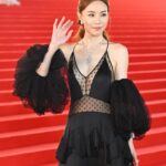 Stephy Tang Lai-Yan Instagram - On the red carpet ❤️ 非常感謝品牌的贊助✨ 還有我整個團隊的幫忙 讓我可以美美走在紅地氈上😊 Thank you😘 Wardrobe : @stellamccartney Heels: @giuseppezanotti Jewellery: @bulgari Make Up : Cyrus Lee @cyruslee_bridal_makeup Hair: @myos_ritzlam Styling: @queenie_yu #hongkongfilmawards