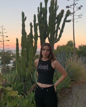 Sterling Jerins Instagram - california sunset 👀