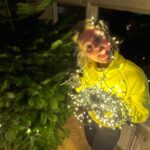 Stijn Fransen Instagram - Kerstboom 🎄 Jaaaa het is weer zo ver. DE KERSTBOOM! Dit jaar zonder ballen want niets is veilig in dit huis voor de kleine grijpgrage handjes van Lieuwe. Dus slingers, lampjes en een piek en klaar! 🎅 Waarom die handschoenen? Ik hoor het je denken haha nou ik ben dus heel allergische voor kerstboom. Na kerst kopen we een neppen voor de volgende Kersts 😉 Maar echt ruikt zo lekker 😂 Staat jullie boom al? #kerst #kerstmis #kerstboom #christmas #christmastree #lampjes #slingers #piek