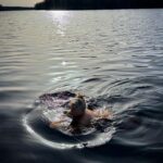 Stina Wollter Instagram – Maj. 
För någon vecka sen, tunga kluttar snö som landade på mina kinder. 
I går, svett på överläpp och soltorra läppar.
I morse, ett dopp i krispig kyla och sammetmörkt vatten med en svavelkysst tidig himmel som andades fram en dag som framkallade unga kvinnor med nakna lätta armar och flygigt hår på stan. 
På biblioteket försökte jag skriva i min egen närvaro men morgondoppet i den lilla sjön ropade i min kropp, hettade och lockade. I naturen, oavsett om det är på mossa eller i vatten blir det stilla i mig, till och med tiden bromsar in och dödens andetag som drar runt  hälarna skrämmer inte. 
Vad gör jag här, tänkte jag i alla böckers täta oerhörda mångfald.
Det är för mycket hjärna.

Så jag började skriva om tallarna som har grenar bara på den sida som är vänd mot det öppna och ljusa 
och gråa tomma fjälliga ryggar mot skuggsidan. 
Rostorange armar som svajar tunga på framsidan med vippor av barr som vispar yvigt längst ut. Gestikulerande. 

Jag skrev mig tillbaka till platsen för doppet och då orkade jag ännu en dag med stad och hjärna.
Maj, du eggande ambivalens, du löftesrika omstart, du knoppande liv mitt bland vinterns lämningar.

Jag dyker rakt in i dig.

Foto @olsmick