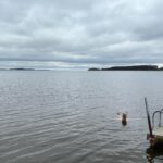 Stina Wollter Instagram – Tack Nyköping! Vilken fin kväll vi fick. Den bär jag med mig. 
Idag på vägen hem stannade vi till vid strandstuviken så att jag skulle få bada. Jag skrämde kanske 20 svanar som blev lite oroliga en bit ut när jag vid bad nummer två vrålade ut det som behövde vrålas ut. Sen andades jag, klappade mig och klädde på mig och så åkte vi hem och nu kokas det Putanesca.

Foto @olsmick