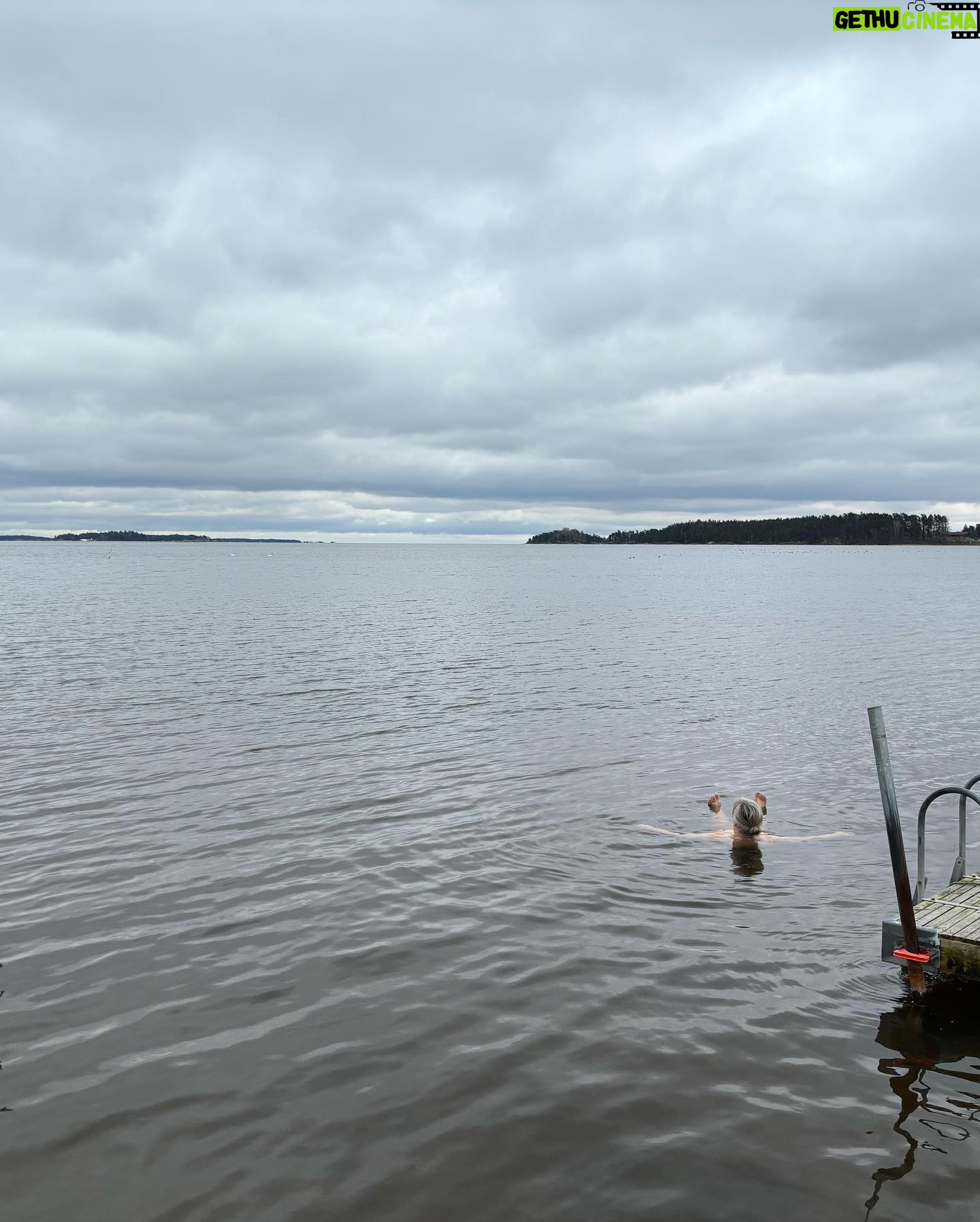 Stina Wollter Instagram - Tack Nyköping! Vilken fin kväll vi fick. Den bär jag med mig. Idag på vägen hem stannade vi till vid strandstuviken så att jag skulle få bada. Jag skrämde kanske 20 svanar som blev lite oroliga en bit ut när jag vid bad nummer två vrålade ut det som behövde vrålas ut. Sen andades jag, klappade mig och klädde på mig och så åkte vi hem och nu kokas det Putanesca. Foto @olsmick