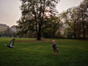 Su Kutlu Instagram - 