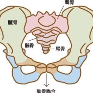 Suan Wang Instagram - 關於生完骨盆會變大這件事是真的，
因為我是自然產，
生完之後照理說骶骨跟尾骨因為寶寶要出來，
都會打開～
但照理來說，會慢慢恢復。

但是～
我的這兩位朋友卻都沒有歸位😂

所以導致我坐著的時候，
整個下盤會非常不對勁！
正坐會痛，側坐會酸，躺著會超痠…

當初在哺乳的時候，
好幾次都是
@sitingcare 
緊急拯救了我的塞奶問題。

知道她們也有物理治療
@lunluncare 
我立刻預約請她們拯救我的骨盆，
她們的物理治療師真的很厲害，
馬上讓我的骶骨跟尾骨歸位！
我當天回家坐著就不酸痛了。

重點是她們也把邵翔的陳年舊傷給治好，
讓我超級感動的❤️

總之，
下一胎我還是會找
@sitingcare 
當我最棒又最專業的大幫手❤️

大家真的遇到問題，
都可以找專業的
@lunluncare 
來幫助妳們！
剛成為新手媽媽身體上有所變化，
是我們招架不住的，
這時候就需要專業又超有經驗的，
幫忙解決身體改變的困擾。