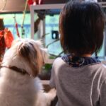 Suan Wang Instagram - 至尊寶寶的姑姑家是動物園。 我功課如果很好我會去考獸醫， 這個也是我的願望清單之一。 我跟邵翔其中一個相似處， 都超喜歡動物的， 沒有意外難怪我會嫁給他。 邵翔年輕的時候， 曾經在御貓園打工上班好幾年， 是整個御貓園後場洗貓扛壩子！ 很少人知道這件事吧！ 所以我們家幫貓護理， 貓洗澡、剃毛、剪指甲等等… 都是邵翔在弄。 他跟他姊姊一起在那裡上班～ 他們家從小到大， 也是養了各式各樣養各種動物， 整個家都是動物園來著。 我小姑最高紀錄家裡8隻貓3隻狗🤣 我的紀錄是3隻貓2隻狗～🤣 我每次都約她開農場🤣 上次至尊寶去餵鹿，居然還整鹿， 拿紅蘿蔔逗弄比他高好幾倍的鹿～ 旁邊所有路人都驚呼他怎麼完全不怕！ 調皮搗蛋的逗弄鹿～ 然後還一直幫水豚捶背跟拍水豚屁股😂 我都在旁邊看著， 而且他對動物都是會控制力道的哦！ 姑姑家的守宮也是被他一直拿上拿下， 一整天嘴裡一直嚷嚷～ 守宮～守宮～ 只能說基因這種事， 真的是會遺傳， 原來我跟邵翔超級喜歡動物的基因， 也是完全遺傳到我兒子身上了！ @sean_5433