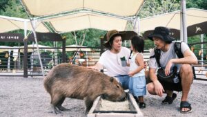 Suan Wang Instagram - 堪稱最愛最喜歡動物的一家人～

以後老了的願望是開一個開心農場。

@bambiland.yilan 
這裡真的有愛，
我們感受的到。
