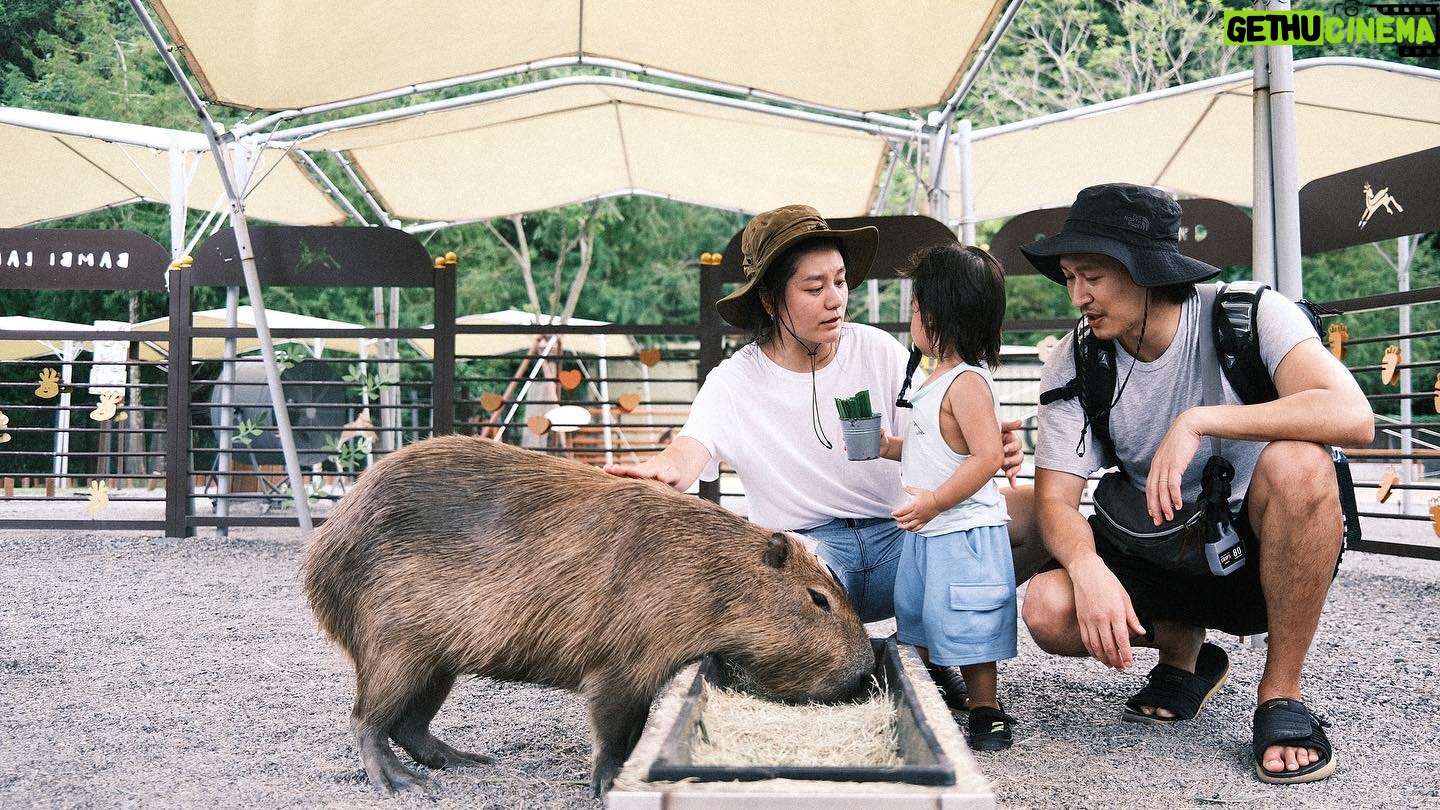 Suan Wang - 2.6K Likes - 堪稱最愛最喜歡動物的一家人~
以後老了的願望是開一個開心農場。
@bambiland.yilan
這裡真的有愛,
我們感受的到。
