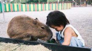 Suan Wang Instagram - 堪稱最愛最喜歡動物的一家人～

以後老了的願望是開一個開心農場。

@bambiland.yilan 
這裡真的有愛，
我們感受的到。