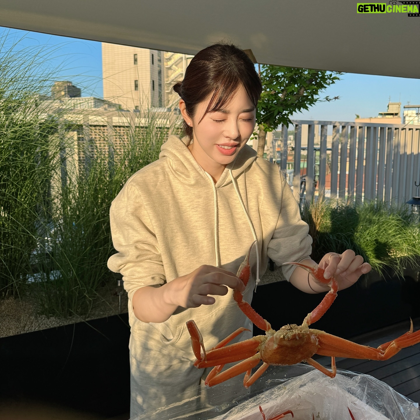 Suh Dong-joo Instagram - 엄마네 집 옥상에서 가족끼리 대게 파티 @junghee_suh 나도 언젠가 이렇게 꾸미고 살고 싶다🙂🩵