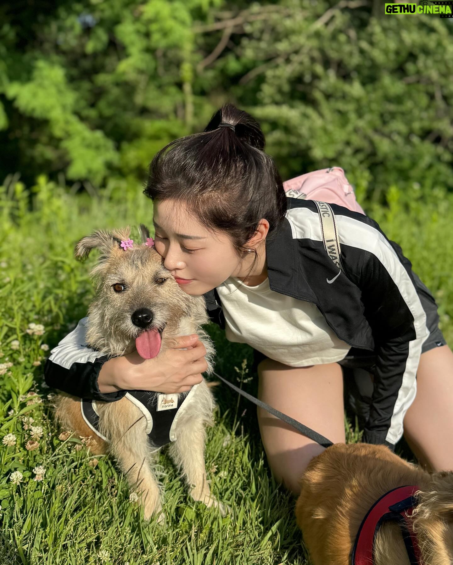 Suh Dong-joo - 7.4K Likes - 날씨 좋았던 지난 주말 💛 the perfect weather to stroll around 💛