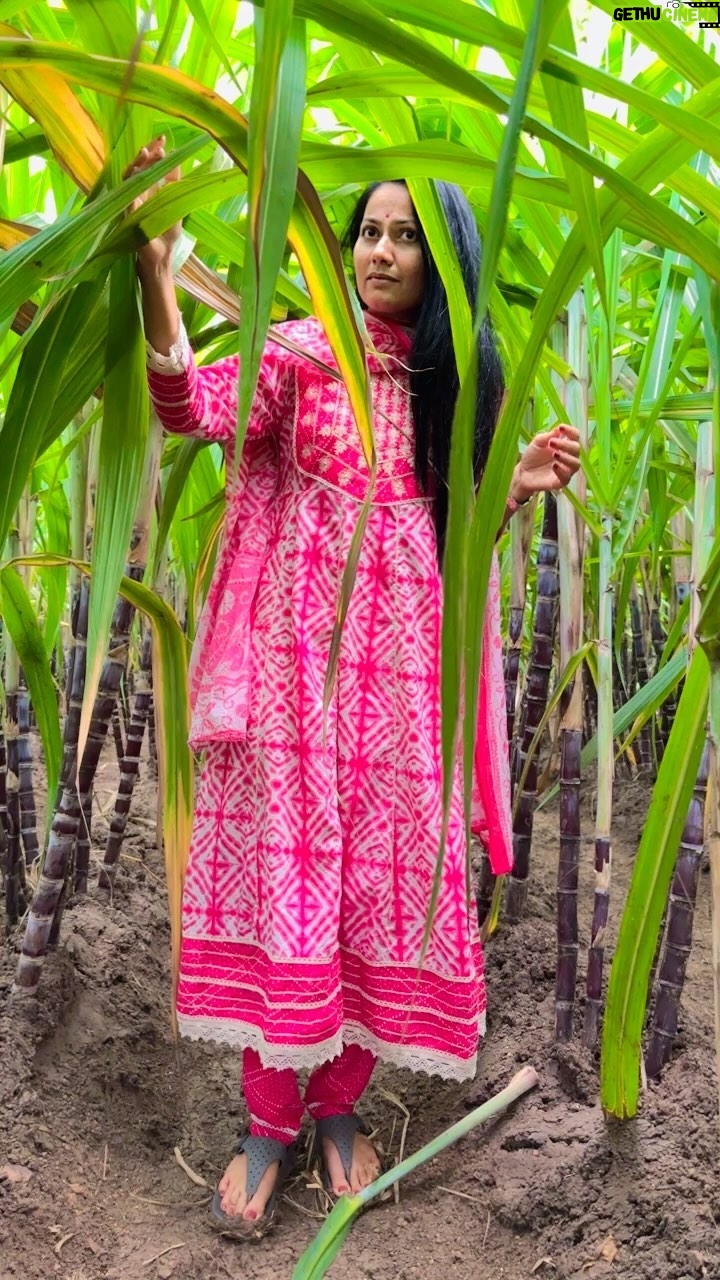Suhasini - 5.5K Likes - Colors are the smiles of nature
#nature #suhasiniactress #suhasini #teluguserialactress
