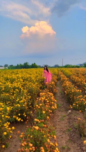 Suhasini Instagram - Where flowers bloom so does hope
#suhasiniactress #tollywood #tirupati #actress