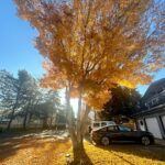 Sukhmani Sadana Instagram - First trip to Canada, First pic clicked. Calls for a Maple Post 🍁 #sadanahome #family #canada