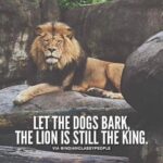 Sumalatha Instagram - Have a roaring Sunday 😄