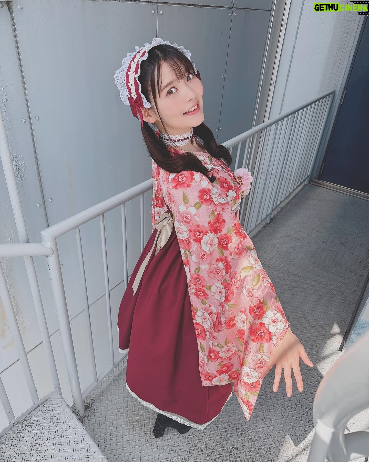 Sumire Uesaka Instagram - もくようび〜! そして、こんにちは4月っ!! 皆さま、すこやかにお過ごしでしょうか? 新生活が始まったぞー!という方もたくさんいらっしゃると思います!いろいろ覚えたり慣れたりするのは…大変…!疲れる…!そんな生活に立ち向かっているあなたはなんて……偉大なんだ……!!! 偉大な同志に乾杯!!!!! ちょっと遅れてしまいましたが、「ディア・パンタレイ」リリース大阪のお洋服オフショットです! 本当にお天気がよかった〜!名古屋から大阪へこのお洋服で移動していたので、道中の様子も載せておきますね! あらためて、4月も素敵に楽しくすこやかに、まいりましょうねっ! #上坂すみれ 衣装 @natsu_no_mizu ヘアメイク @hana.freelancehm