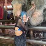 Sumitra Duangkaew Instagram - Mission : taking nice pics with Elephants : fail 🥲❌ And.. Not my ear, Mister Elephant 🥲