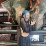 Sumitra Duangkaew Instagram - Mission : taking nice pics with Elephants : fail 🥲❌ And.. Not my ear, Mister Elephant 🥲