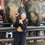 Sumitra Duangkaew Instagram - Mission : taking nice pics with Elephants : fail 🥲❌ And.. Not my ear, Mister Elephant 🥲