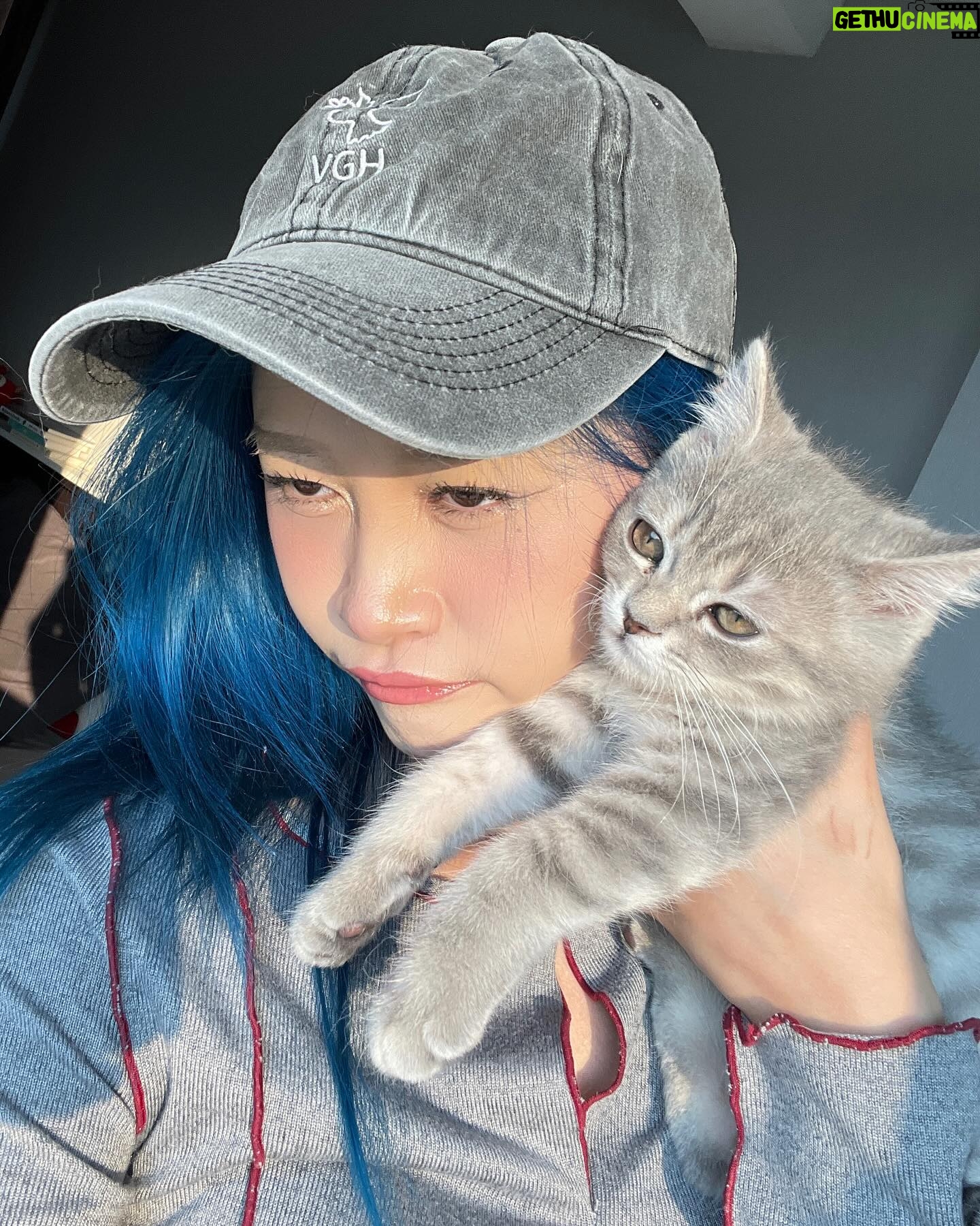 Sumitra Duangkaew Instagram - Mama love u 💙🤏🏻🐈🐈⬛ @lukshin.moodengg