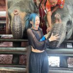 Sumitra Duangkaew Instagram - Mission : taking nice pics with Elephants : fail 🥲❌ And.. Not my ear, Mister Elephant 🥲