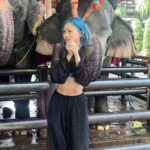 Sumitra Duangkaew Instagram - Mission : taking nice pics with Elephants : fail 🥲❌ And.. Not my ear, Mister Elephant 🥲