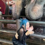 Sumitra Duangkaew Instagram - Mission : taking nice pics with Elephants : fail 🥲❌ And.. Not my ear, Mister Elephant 🥲