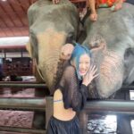 Sumitra Duangkaew Instagram - Mission : taking nice pics with Elephants : fail 🥲❌ And.. Not my ear, Mister Elephant 🥲
